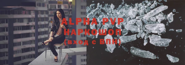 прущие грибы Алзамай