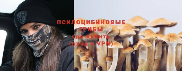 СК Алексин