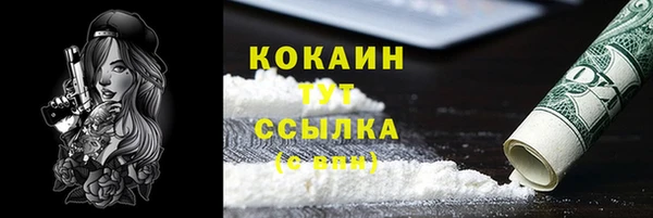 СК Алексин