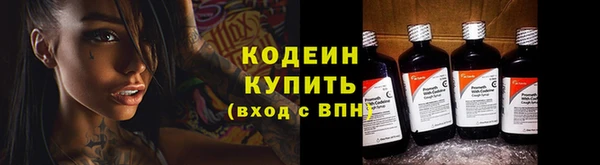 прущие грибы Алзамай