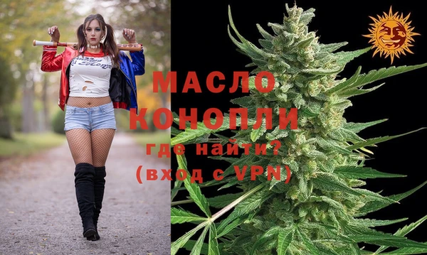 СК Алексин