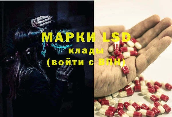 прущие грибы Алзамай