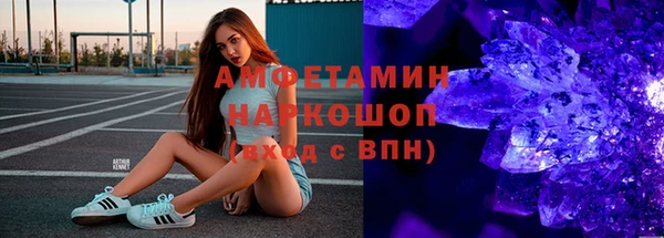 прущие грибы Алзамай