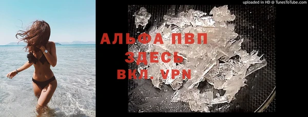 СК Алексин