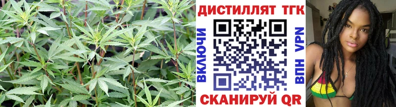 Дистиллят ТГК жижа  Заозёрный 
