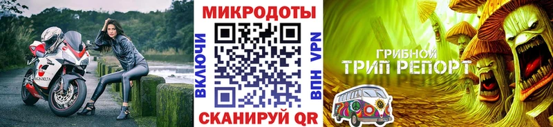 Галлюциногенные грибы Psilocybine cubensis  Заозёрный 